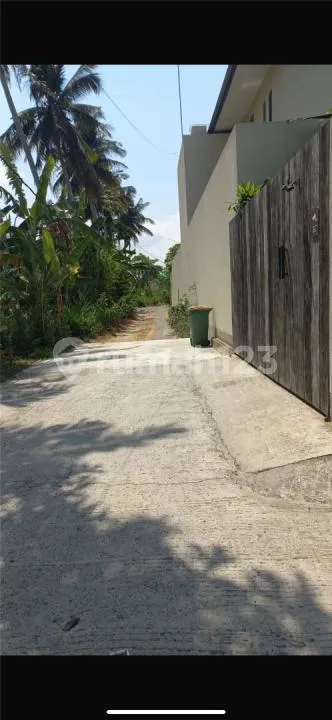 Tanah Lodtunduh Termurah Zona Kuning Cocok Villa - Image 3 of 4
