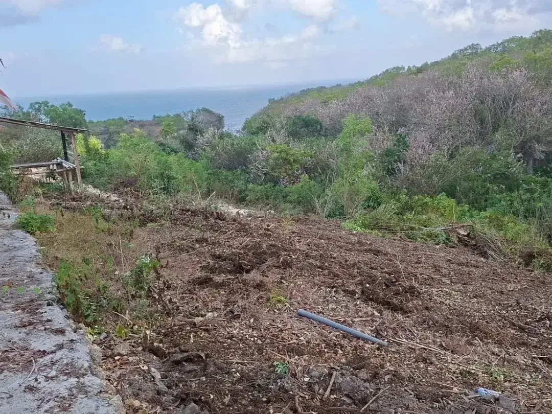 Dijual Tanah Super Premium 4.978 m² dengan Ocean View Pantai di Bali Cliff Ungasan, Zona Pariwisata, Cocok untuk Pengembangan Villa, Resort, Hotel, - Image 5 of 10