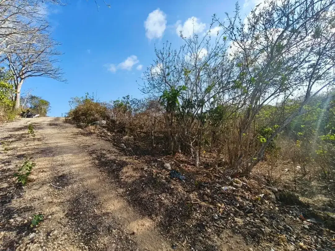 Dijual Murah Tanah di Jl. Gunung Payung, Kutuh, Nusa Dua. - Image 2 of 6