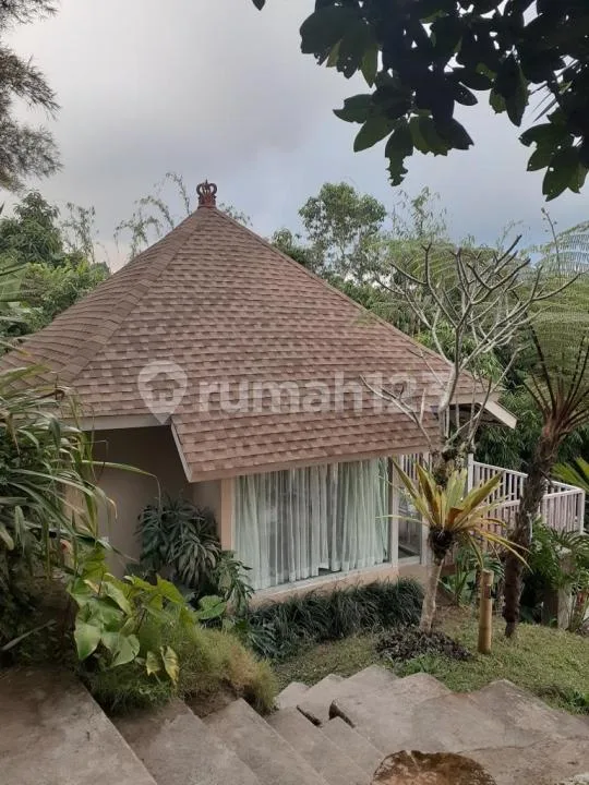 Big Investment In The Heart Of Ubud - Image 2 of 4