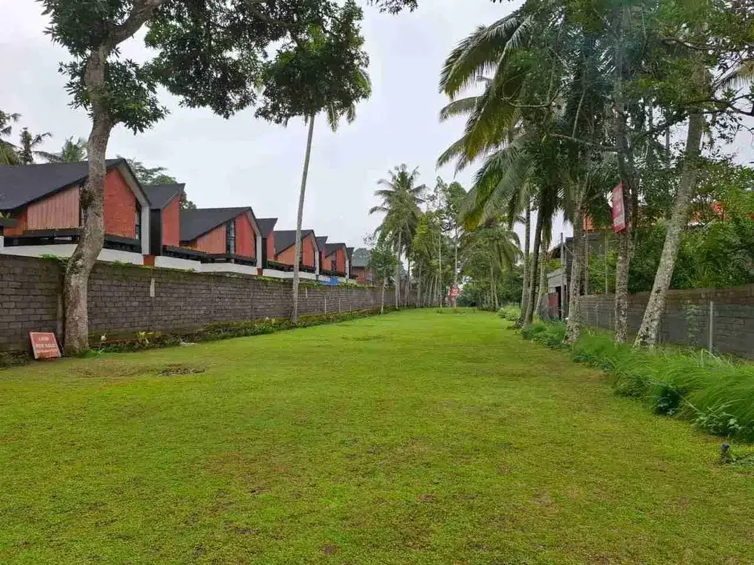 Lahan View Sungai dan Hutan Kedewatan, Lokasi Favorit - Image 8 of 10