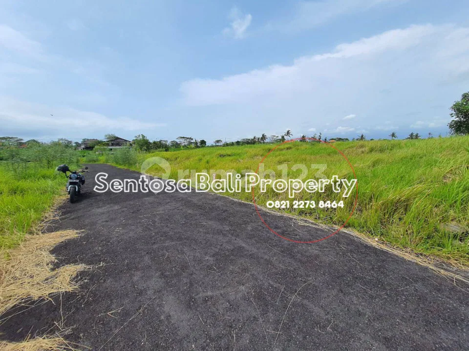 Tanah Dekat Pantai Seseh Munggu , Canggu - Image 4 of 4