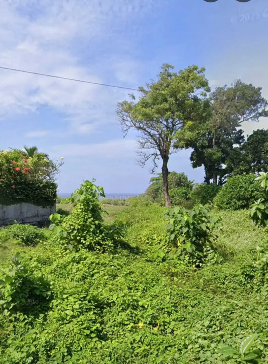 BUC 15 Are View Pantai Lingkungan Villa di Ketewel Gianyar - Image 6 of 9