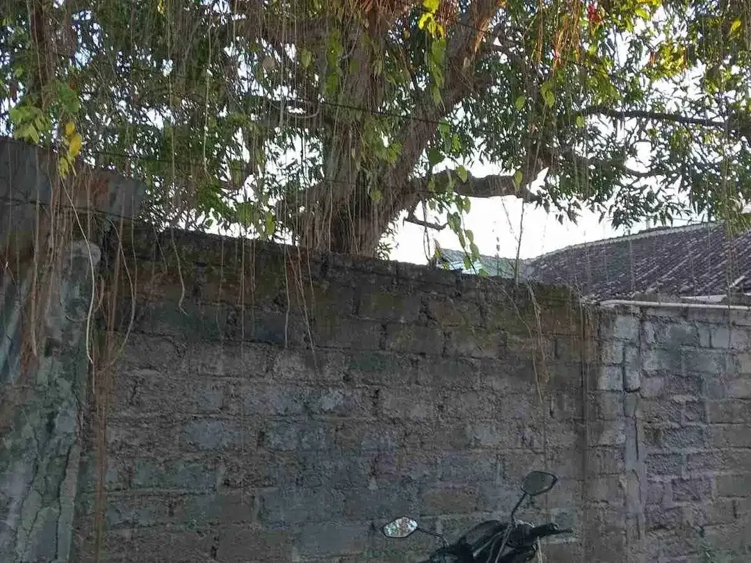 Dijual Tanah Strategis Sanur, 200m², 5 Menit ke Pantai, Dekat KEK Sanur - Image 2 of 4