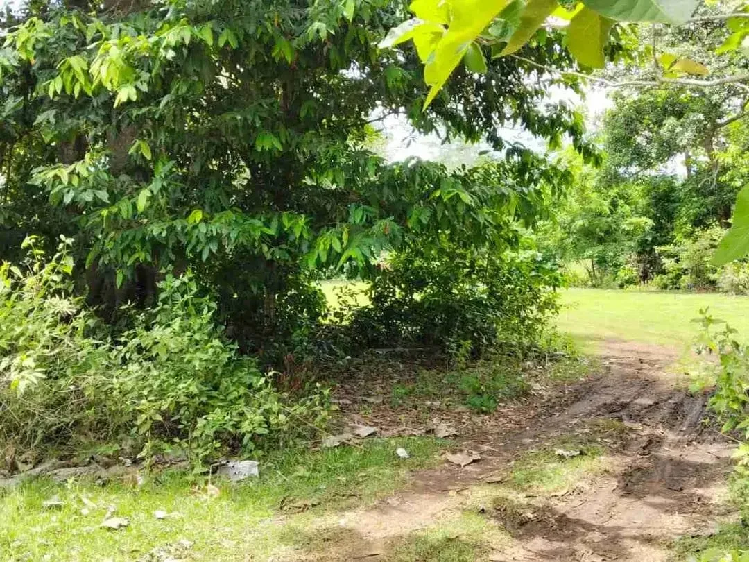 Tanah strategis dekat dengan Pantai Balangan dan Pantai Dreamland - Image 9 of 10