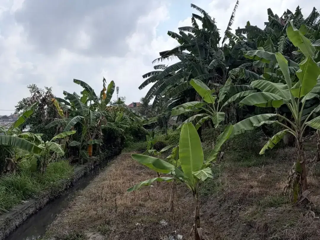 DIJUAL TANAH – PADONAN, DALUNG - Image 3 of 5