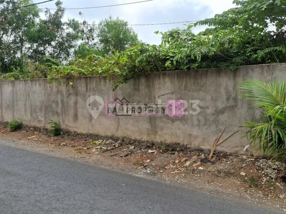 Tanah Strategis di Jalan Utama Pura Masuka Ungasan | Luas 4,3 Are - Image 4 of 4
