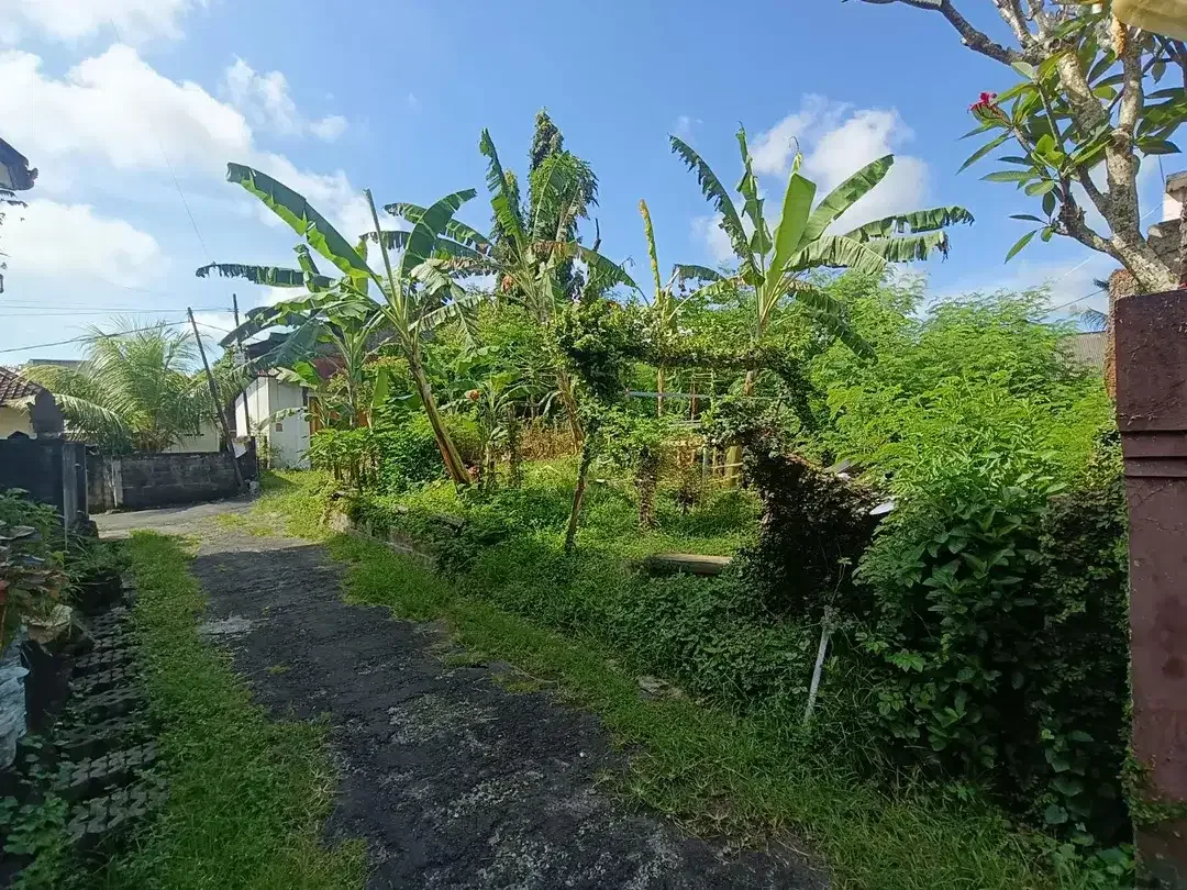 Tanah Sewa Murah di Jimbaran Bawah Dekat Nasi Ayam Bu Oki, Cocok Untuk Dibangun Rumah Kos - Image 8 of 10