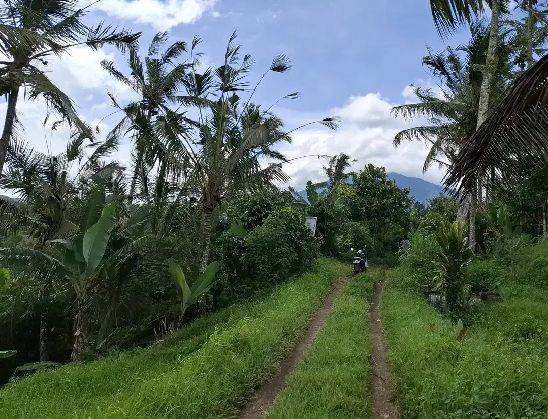 Dijual tanah los sungai view gunung dan sawah - Image 8 of 9