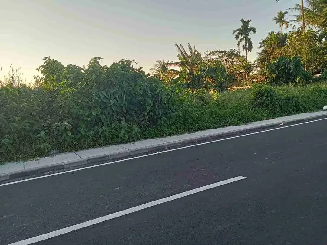 Tanah Komersial Cemagi Hanya 300 Meter ke Pantai - Image 9 of 10
