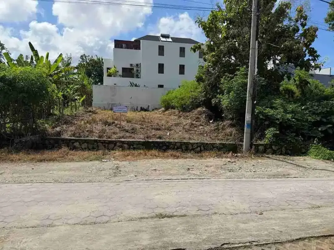 DIJUAL TANAH PREMIUM DI TOYANING UNGASAN 285 m2 GOOD PRICE - Image 1 of 5