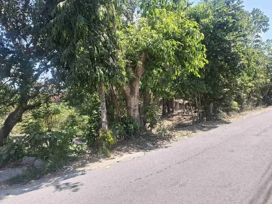 DIJUAL CEPAT TANAH DI UNGASAN DEKAT PEREMPATAN INDOMARET BALI CLIFF - Image 4 of 4
