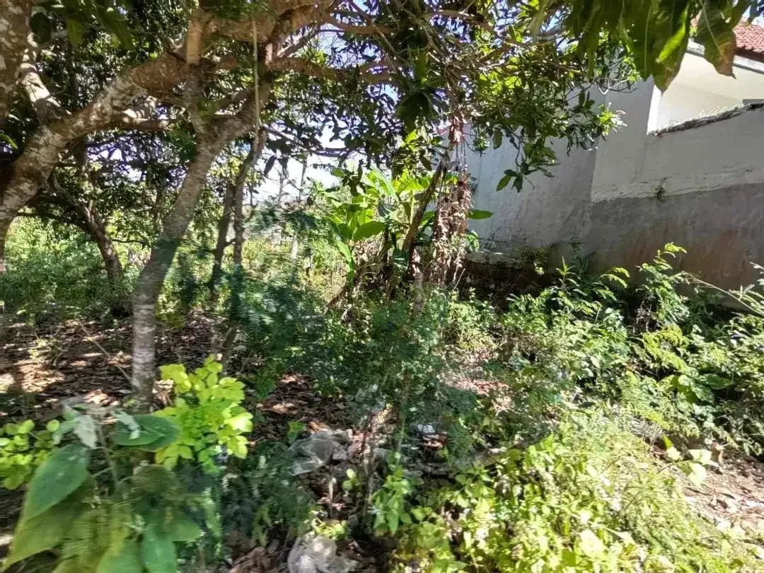 Tanah MURAH Area Villa Jl Pura Lempuyang Ungasan - Image 6 of 10