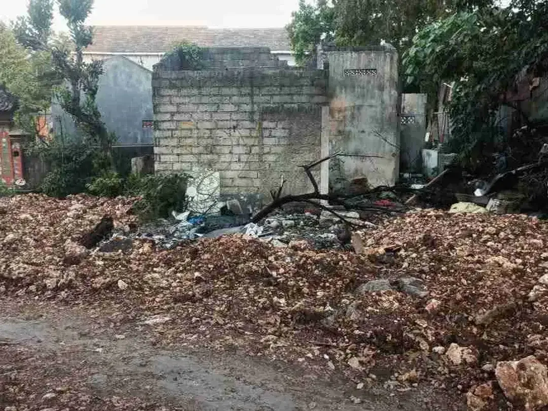 dijual tanah 26,5 are IDR 375 juta per are dekat Pepito Taman griya Jimbaran - Image 3 of 8