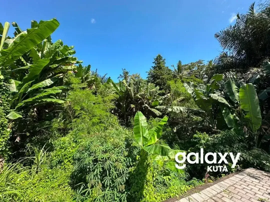 DIJUAL TANAH HOOK JUNGLE VIEW DEKAT KANTO LAMPO DI BENG GIANYAR - Image 6 of 10