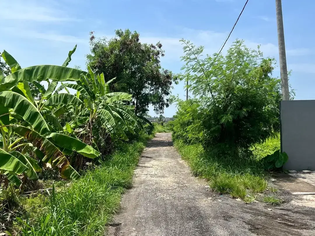 Freehold - Prime Land for Sale in Berawa, Canggu,Bali-Ideal for Villas - Image 4 of 8