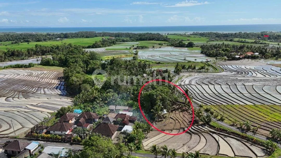 Tanah Murah Dekat Pantai Pasir Tabanan 2045 M2 Hrg Idr 1,5 Jt/M2 - Image 1 of 4