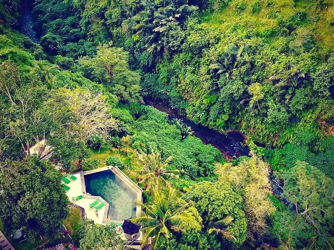Land for sale in Ubud, Bali - Image 5 of 10