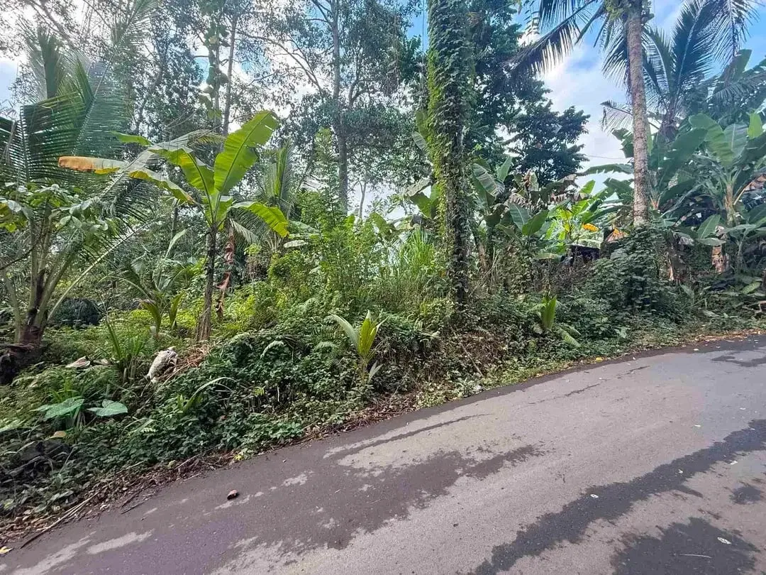 Tanah Murah Los Sungai Begawan Giri Payangan Ubud Bali - Image 3 of 10