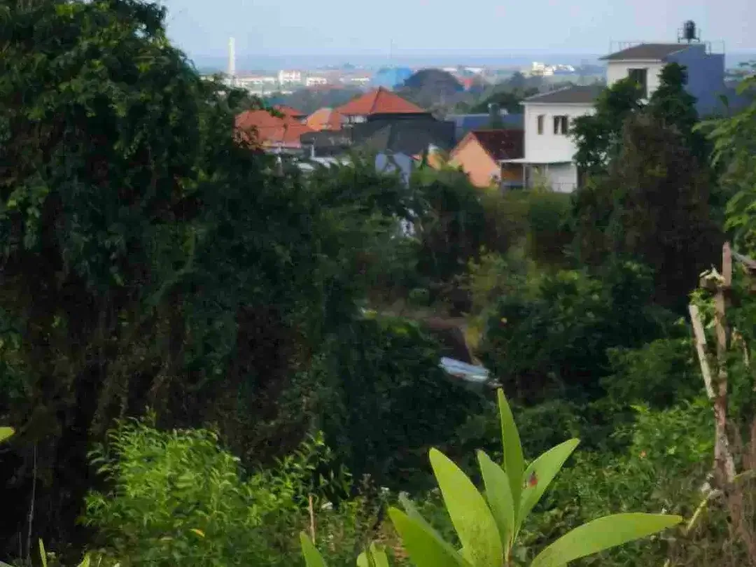 tanah 7,5 are IDR 600 juta /are di kampus unud jimbaran Kuta Selatan Badung Bali - Image 5 of 10