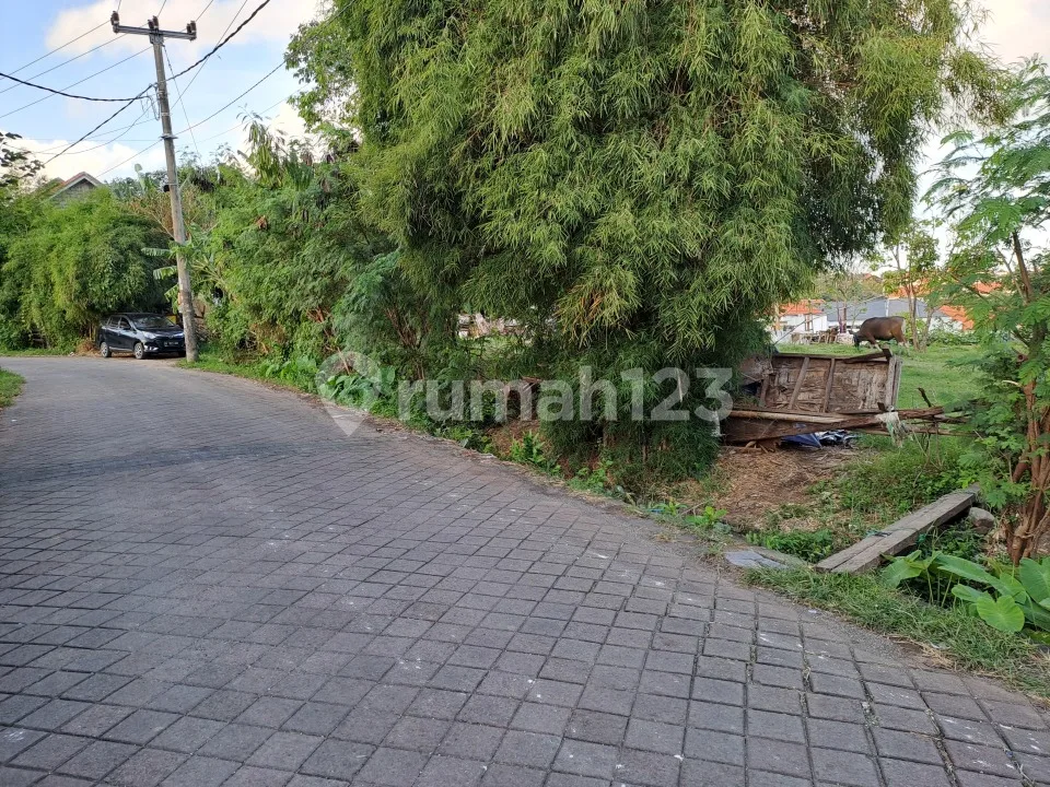Tanah di Jl Raya Sempol Canggu cocok dibangun Kompleks Villa - Image 1 of 4