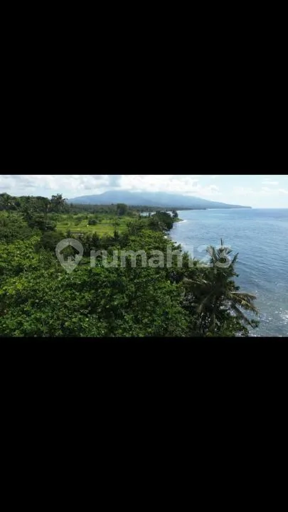 Dijual Tanah 2 Hektar Front Beach Virgin - Image 2 of 4