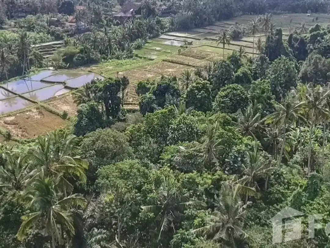 Land for sale in Ubud, Bali - Image 3 of 5