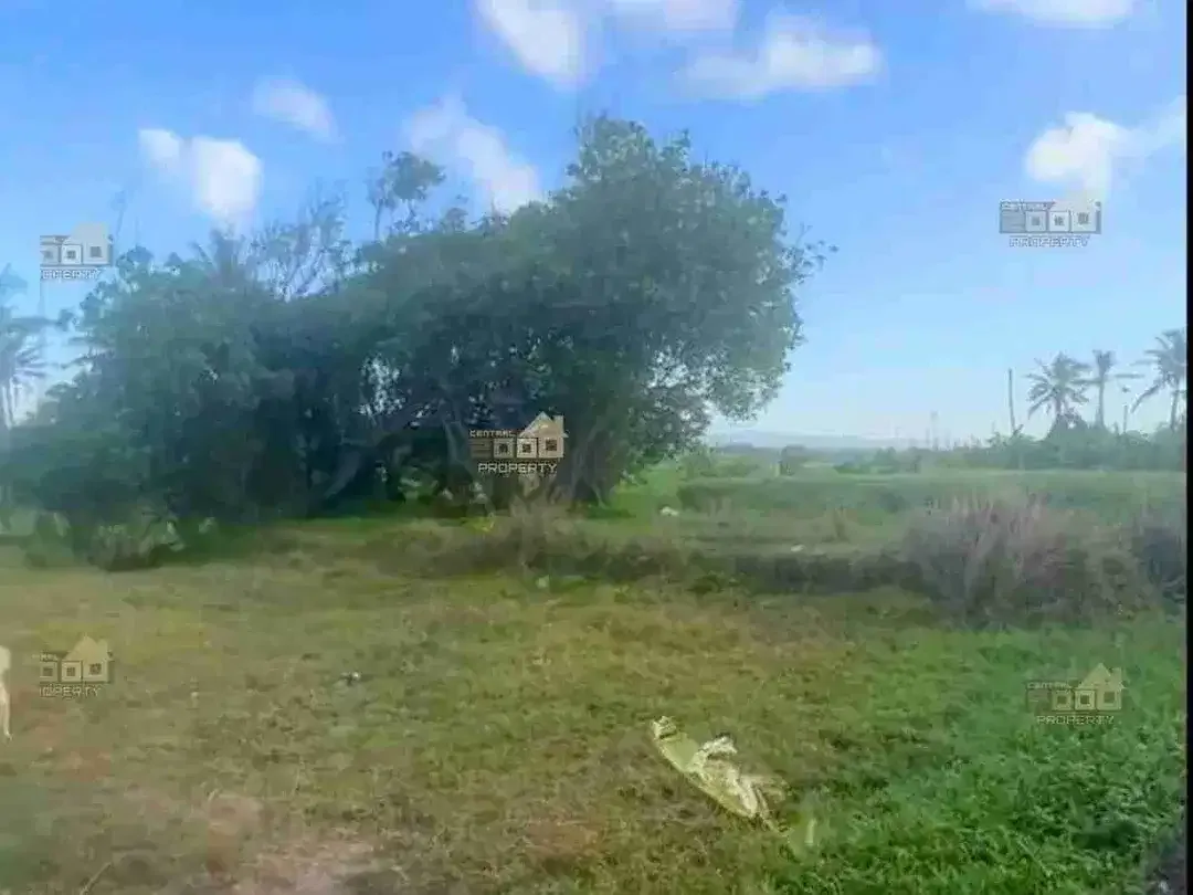 Dijual Tanah Los Pantai Pasut - Tabanan, Bali - Image 3 of 9