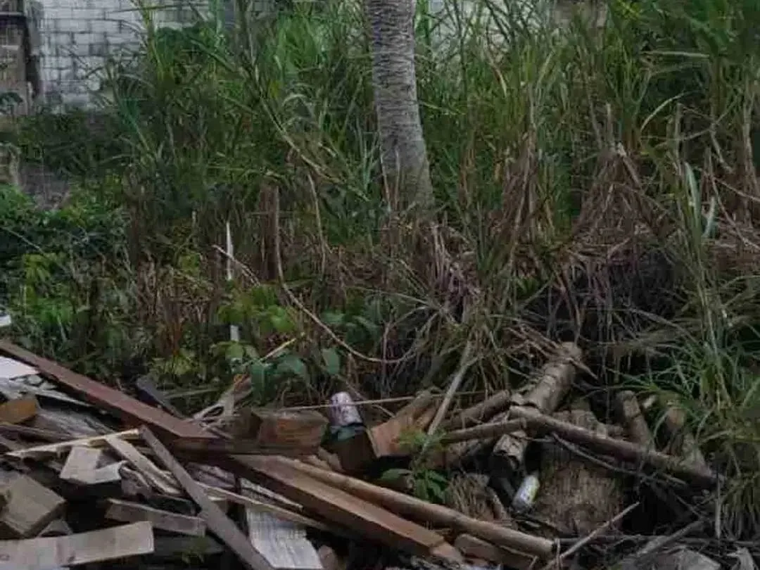 tanah langka di sewa jangka panjang cocok untuk bisnis akses jalan utama di Mas Ubud - Image 3 of 10