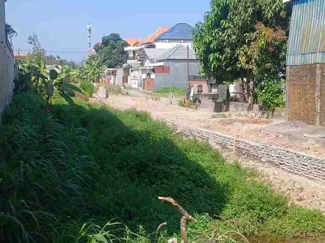 Di sewakan tanah jalan sedap malam , Denpasar , Bali - Image 3 of 6