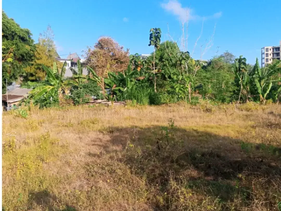 Land For Rent at Pecatu - Image 4 of 10