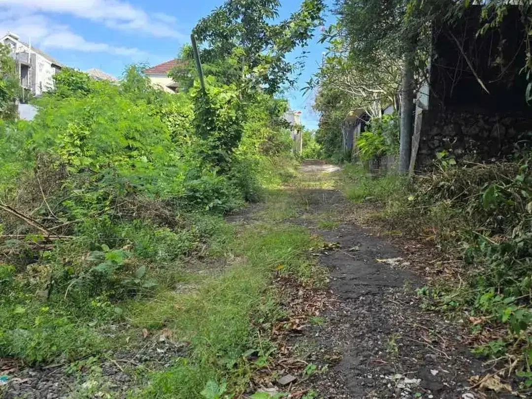 Dijual Tanah 2 Are Premium di Ungasan Bali Belakang Airis - Image 3 of 4