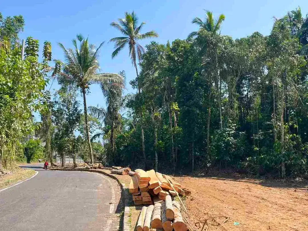Di jual tanah kavling jalan raya Petang , Badung, Bali - Image 3 of 6