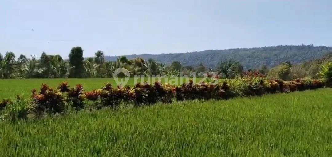 Tanah Jual Lokasi Banyuatis - Image 2 of 3