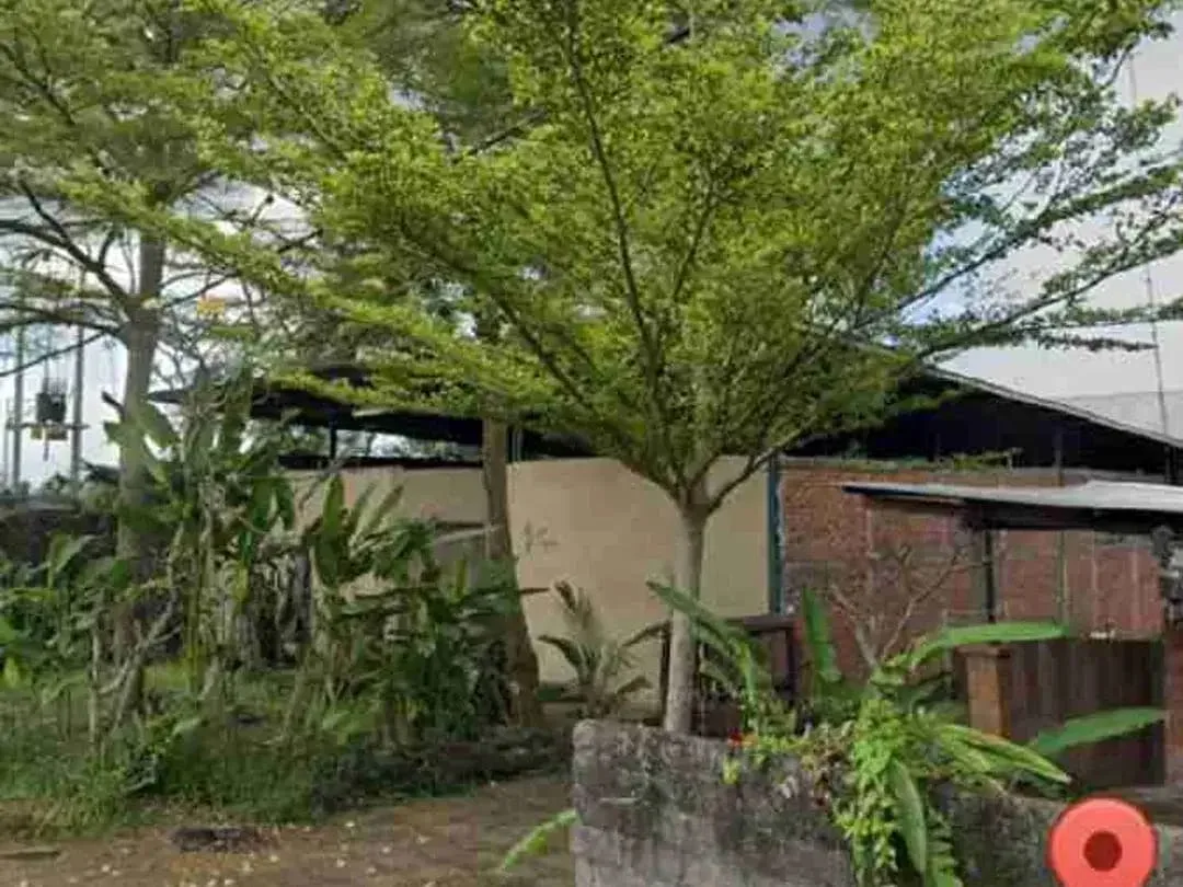tanah langka di sewa jangka panjang cocok untuk bisnis akses jalan utama di Mas Ubud - Image 5 of 10