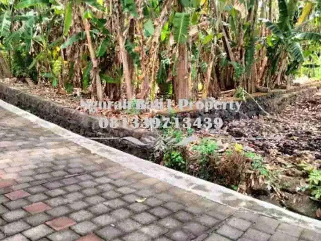 Dijual Tanah Murah Luas  8,5 Are Lokasi di Tanah Lot Tabanan - Image 4 of 6