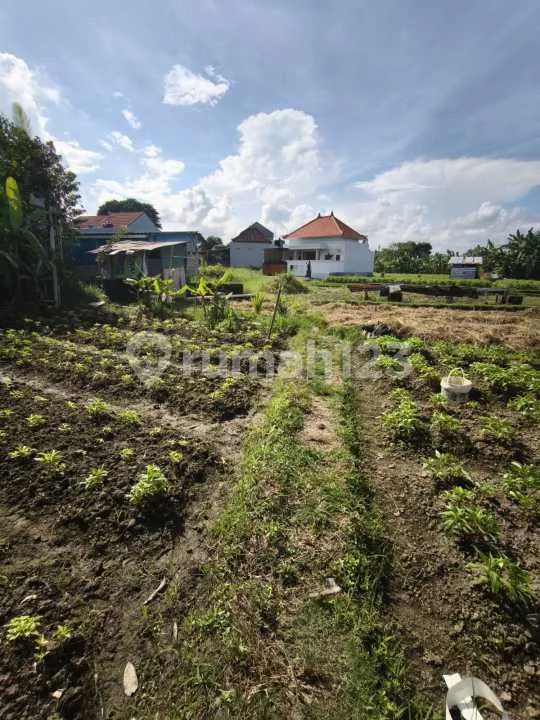 Tanah 2 Are Zona Kuning di Lukluk View Sawah - Image 1 of 4