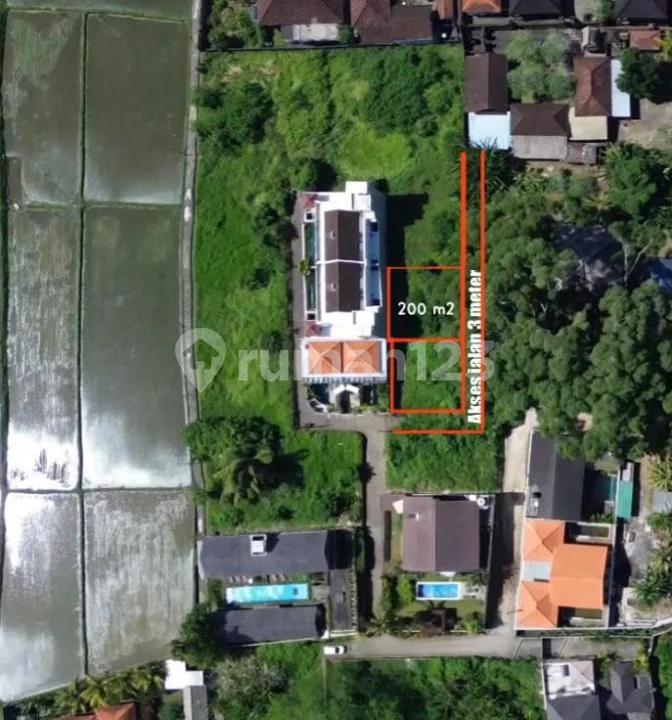 Buc - Dijual Lahan Murah Mas, Ubud Lokasi Strategis SHM - Image 4 of 4