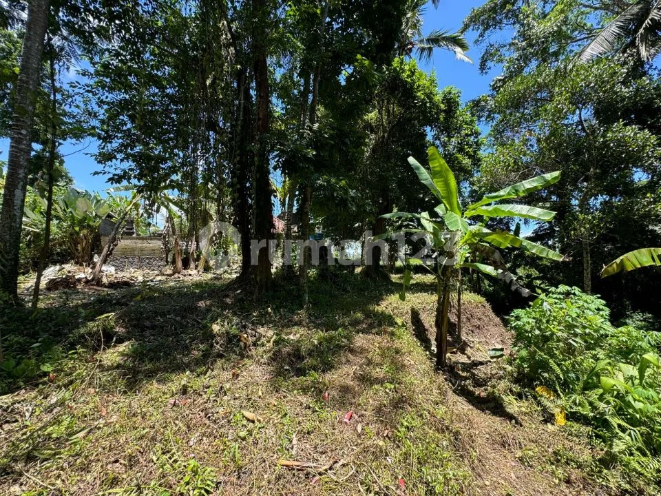 Dijual Lahan Los Sungai Lokasi Ubud View Sawah Sungai Dan Jungle - Image 2 of 4