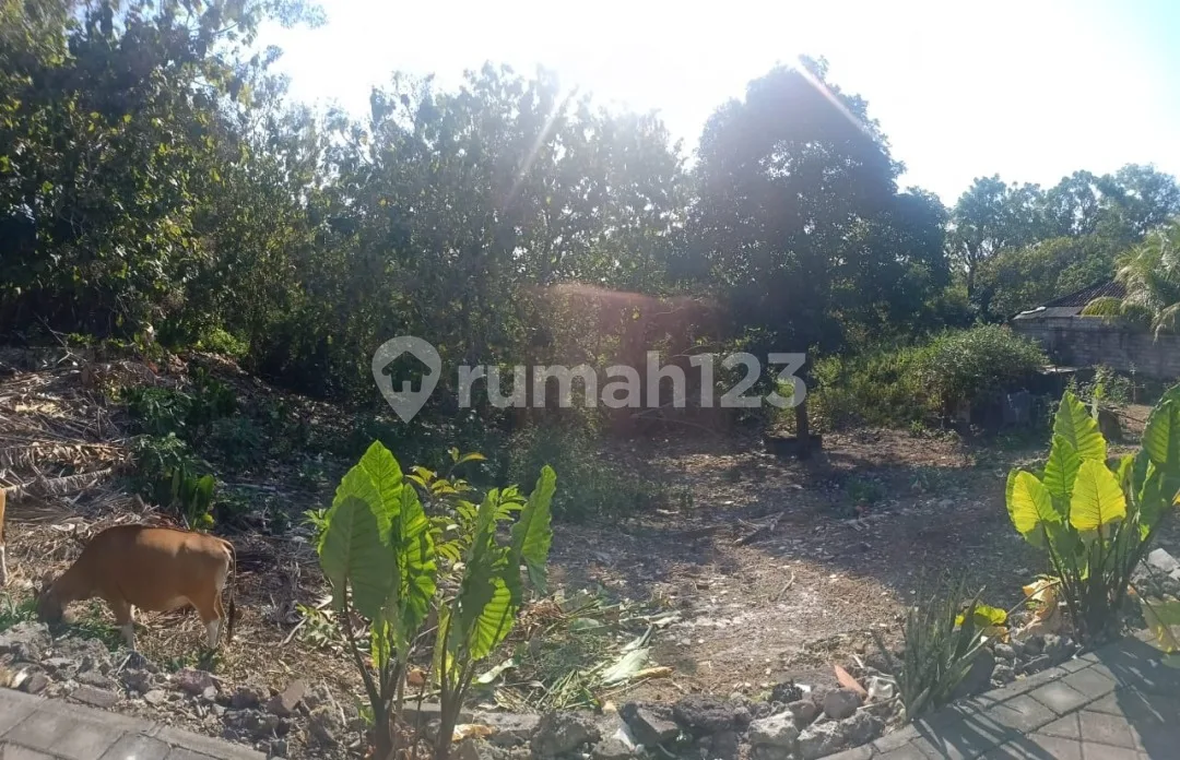 Tanah murah di karang mas jimbaran bali - Image 2 of 3