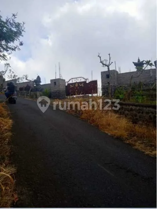 Tanah 6,5 Hektar Pinggir Jalan Bedugul - Super Murah! Investasi Pariwisata - Image 2 of 4