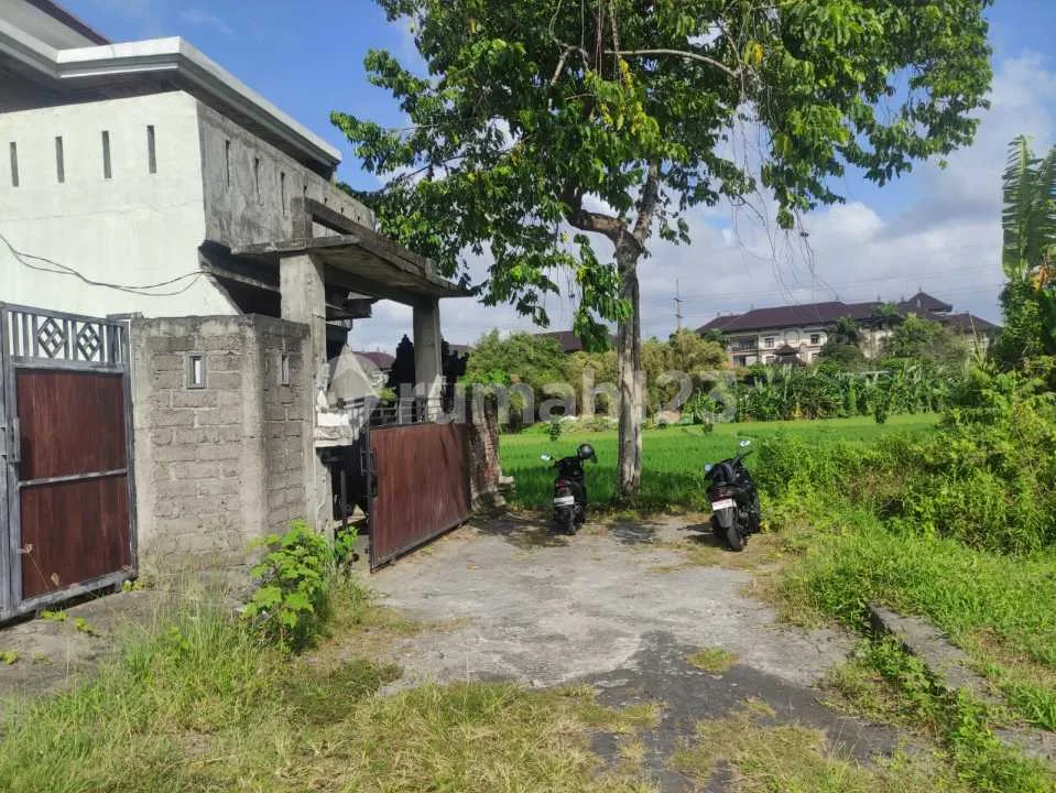 Rumah Sewa View Sawah Super Murah Sempidi Badung - Image 4 of 4