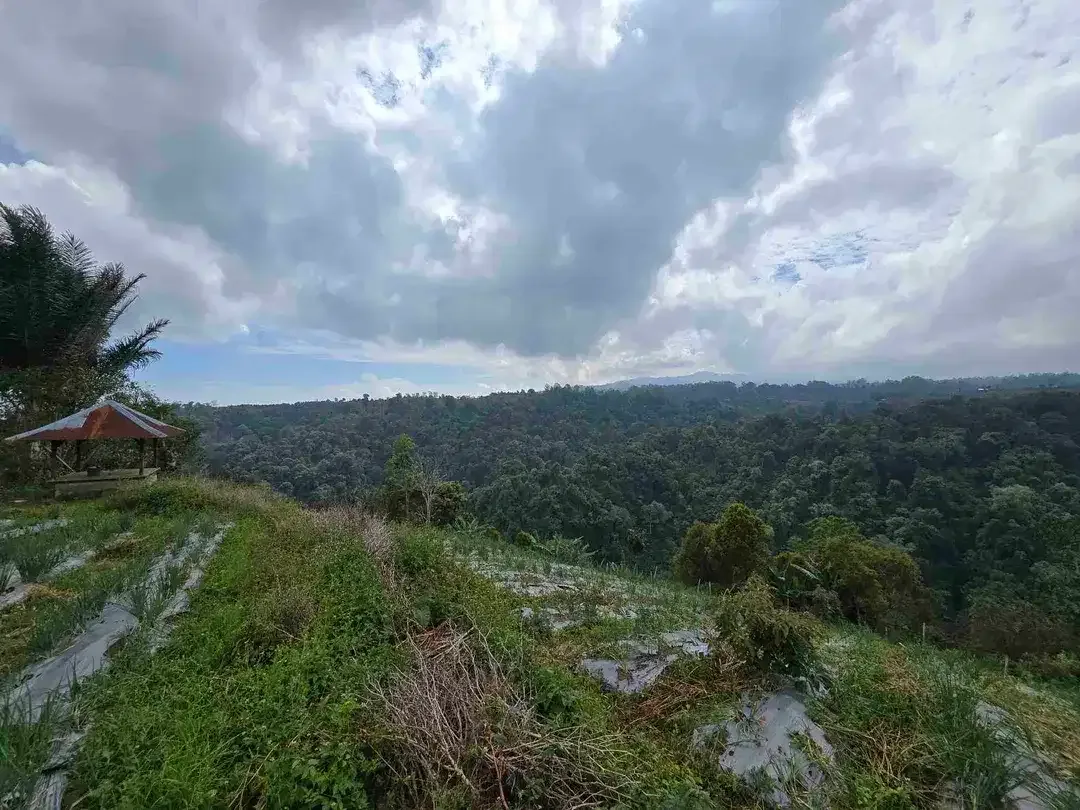Dijual tanah view lembah sangat cantik di kintamani bali - Image 2 of 10