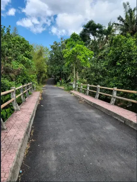 Disewakan tanah murah 4 hektar di Gianyar - Image 6 of 10