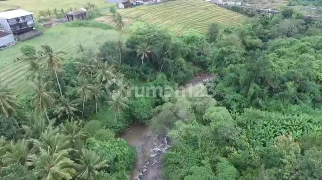 Tanah Premium.river Front Di Buwit Pereranan Kaba Kaba - Image 2 of 4