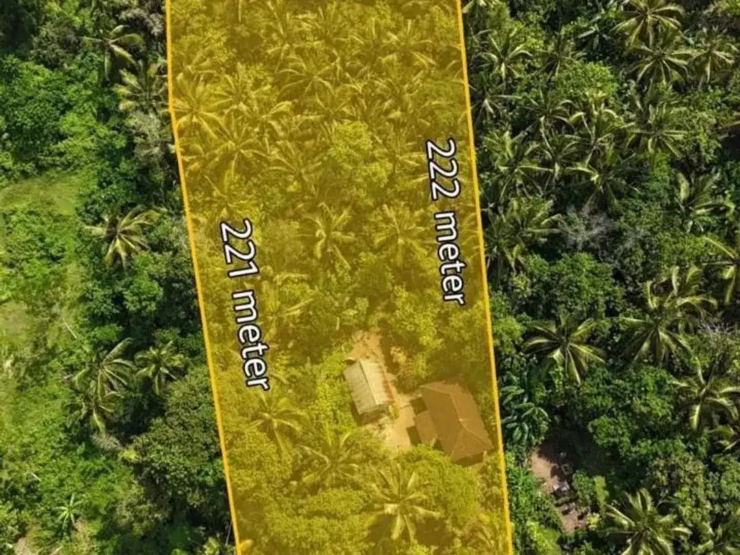 Land for sale in Selemadeg, Bali - Image 3 of 3