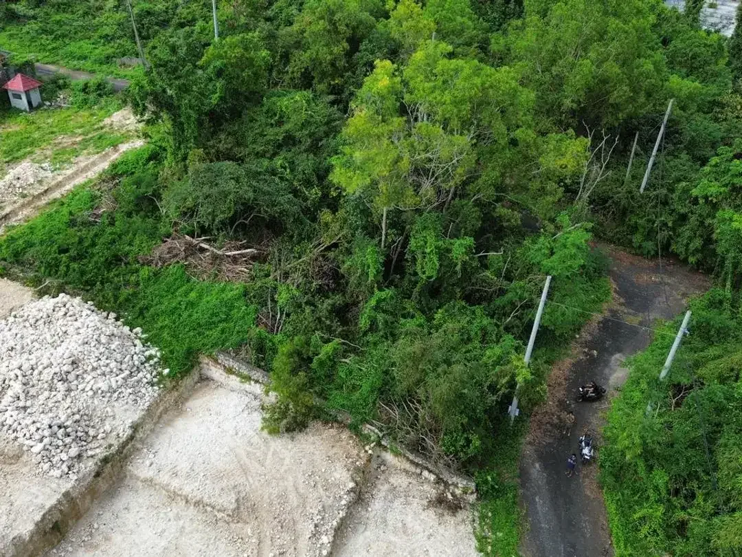 Rare Land Plots for Sale – Ungasan Center near Pecatu Dreamland - Image 5 of 6