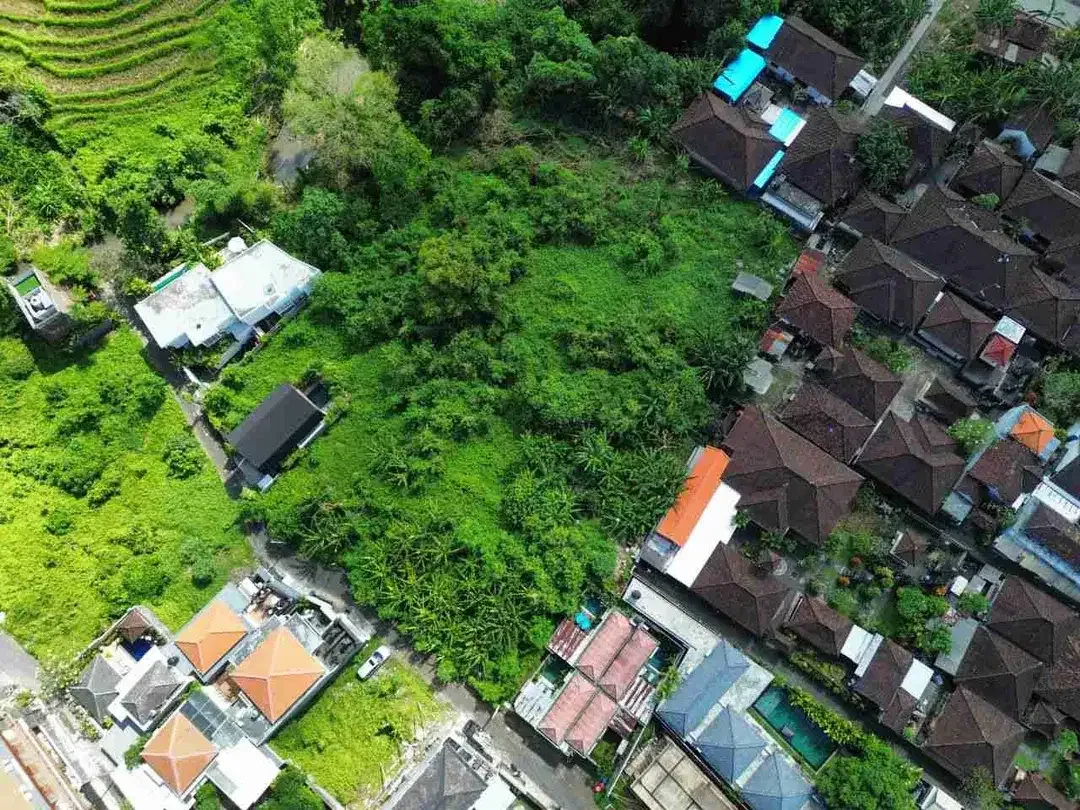 Land for Lease with Rice Field Views in Buduk - Image 5 of 9