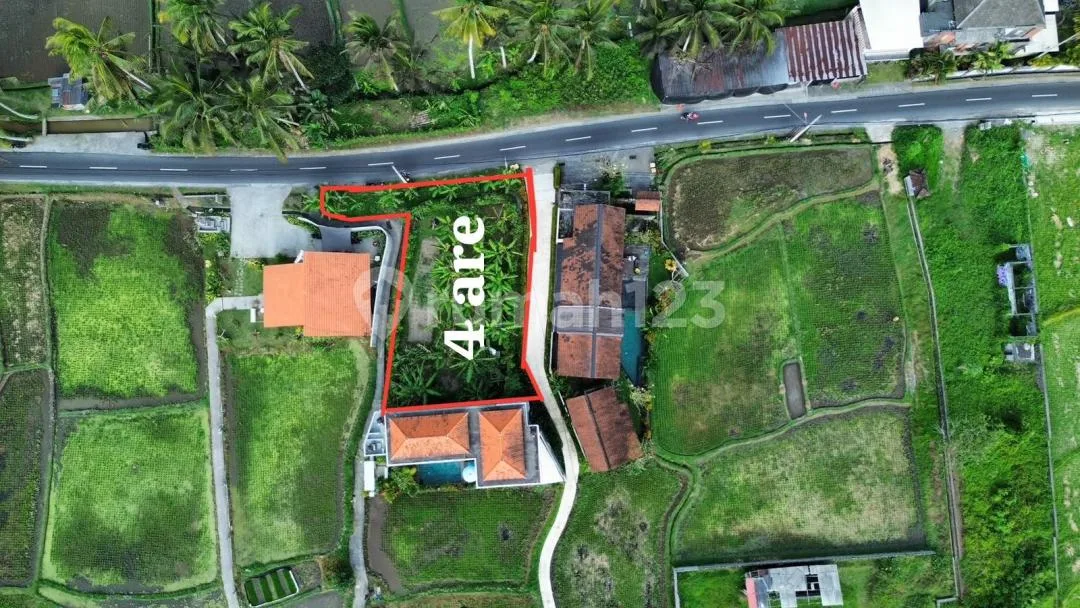 Dijual Lahan Premium & Langka - Jalan Cinta, Ubud Lok Strategis - Image 3 of 4