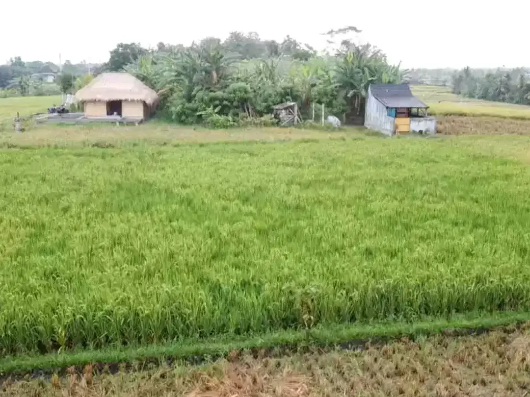 Leasehold - Exclusive Land in Yeh Gangga, Tabanan, Bali - Close to the Beach - Image 7 of 9
